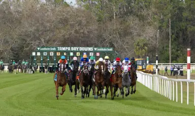 Tampa's commitment to racing remains strong as track celebrates its centennial
