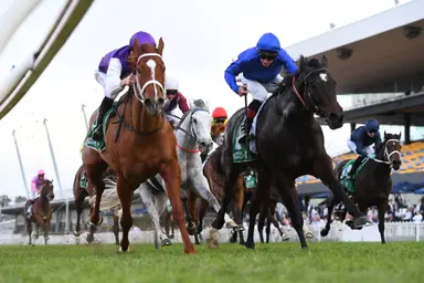 Rosehill: A six-pack of stakes races