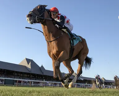 Bring Theband Home goes for Harvey Pack repeat following long layoff