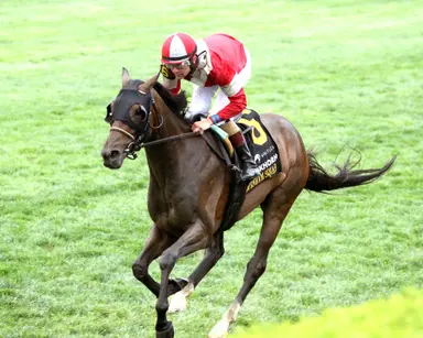Just getting warmed up, Burnham Square a fearsome favorite in Louisville Stakes