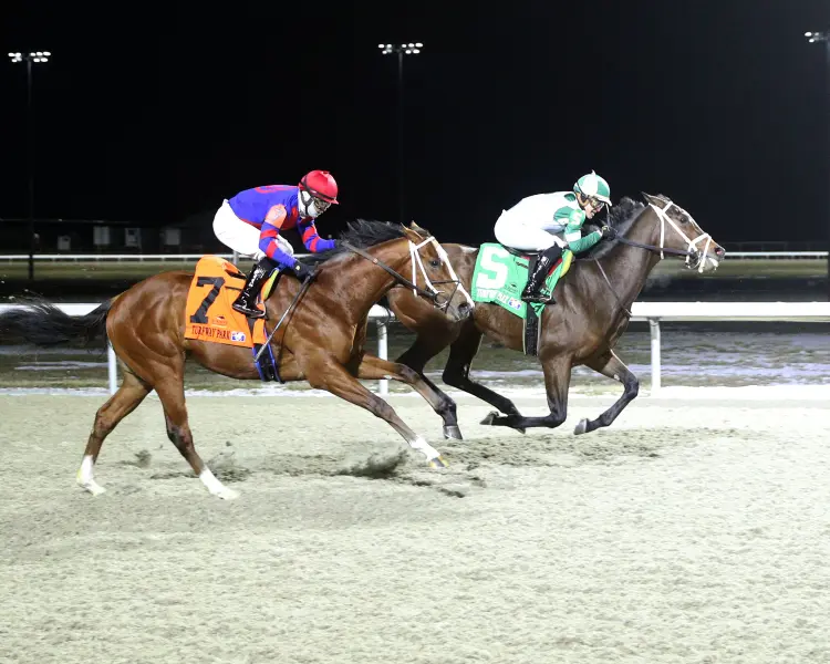 CALIFORNIA BURRITO - The 43rd Running of THE JOHN BATTAGLIA MEMORIAL - 02-22-25 - R07 - Turfway Park - Finish 01.jpg