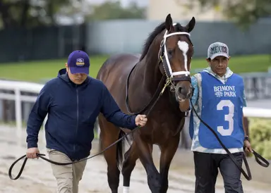 Kentucky Derby pedigree profile: Timberlake