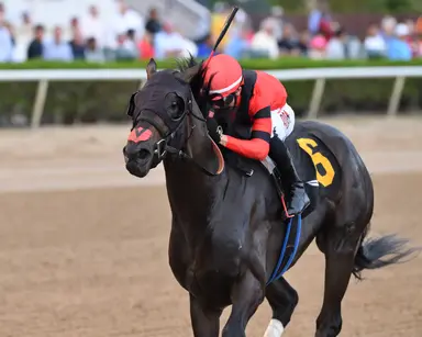 Fulmine notches first stakes as favorite stumbles at start in Hutcheson