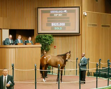 Keeneland November sale: Cancel This tops session at $825,000 amid some declines