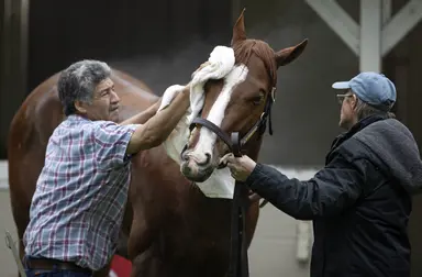 Kentucky Derby: Kingsbarns, Mage try to join exclusive company in their fourth start