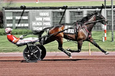 Pocono:  Dame Good Time equals world record