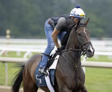 Brad Free's Santa Anita Horses to Watch for week of Jan. 31-Feb. 2, 2025