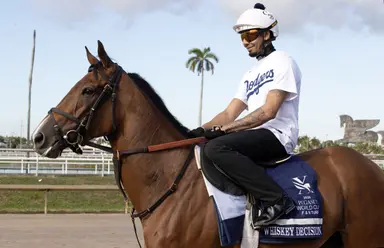 Whiskey Decision seeks smoother trip in Hillsborough