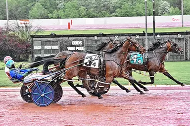 Pocono:  Another C Note, Toast Of The Town shine in PA All-Stars