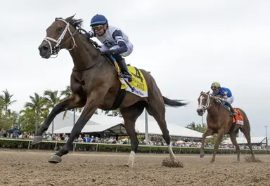 Classy rivals look to regain form in allowance