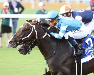 Gigante's Secretariat upset continues upswing in Virginia
