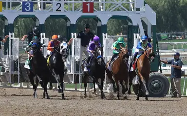 DRF's Horse Racing Playbook for Friday, September 27, 2024