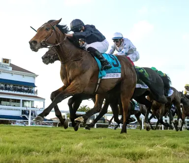 Justify has his first graded winner of 2024; could be sitting on huge year