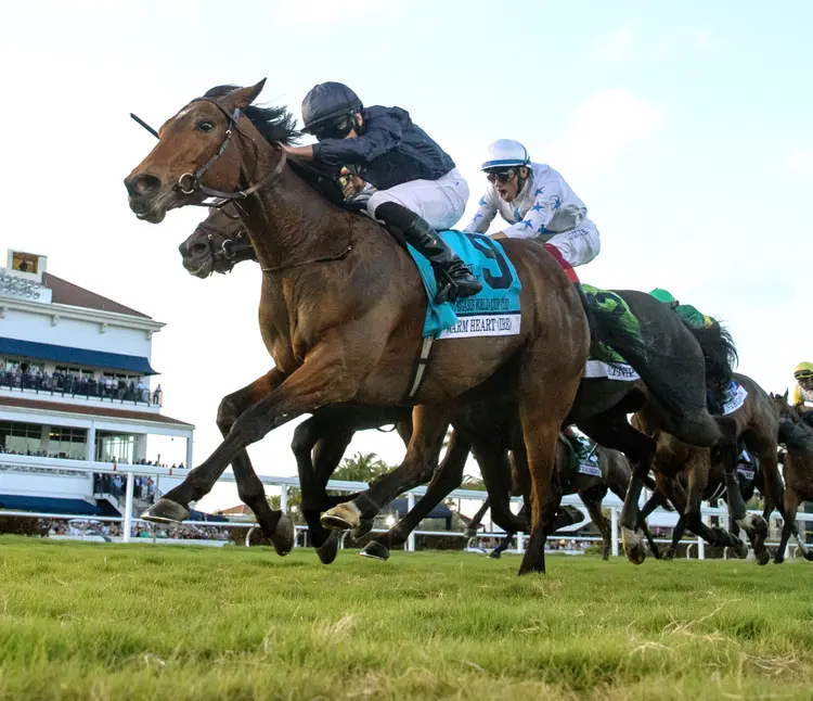 Warm Heart wins Pegasus World Cup Turf at GP Jan 27 2024