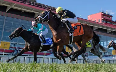 Plan calls for state to take over Pimlico