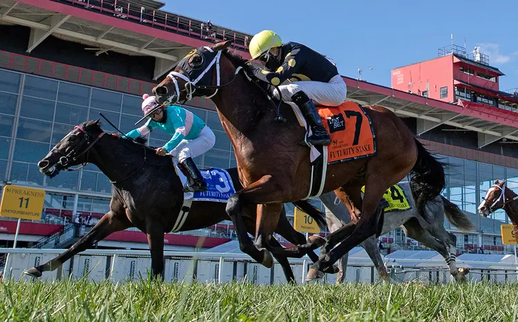 Catman (7) wins the Laurel Futurity at Pimlico Race Course