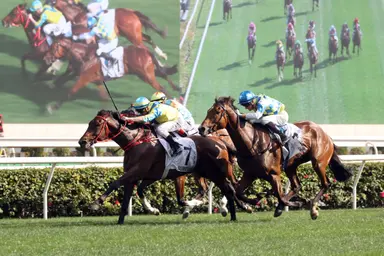 Pierre Ng aims for stars with exciting FWD Champions Day plans