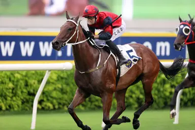 The Golden Scenery provides Tony Cruz with another Celebration Cup triumph