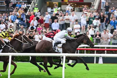 Fast-rising Light Years Charm strikes, Manfred Man snares treble