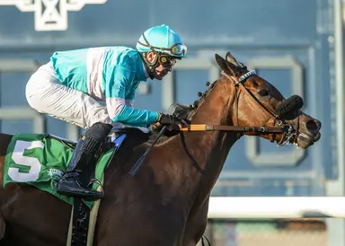 Dams of Just F Y I, Speed Boat Beach on offer at Keeneland January sale