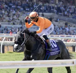 Breeders' Cup Turf Sprint: In a race full of firsts, Shisospicy scores dominant gate-to-wire win