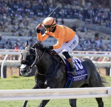 Dam of Ted Noffey sells for $6.2M to top Fasig-Tipton 'Nights of Stars' sale