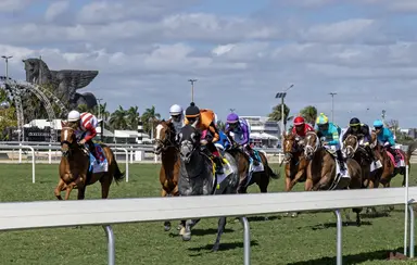 DRF's Horse Racing Playbook for Sunday, July 19, 2026