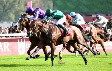 Royal Ascot 2026: Best bets