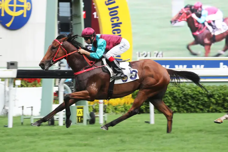 Beat the Clock wins the Class 2 Hong Kong University Alumni Association Challenge Cup Handicap at Sha Tin 6.11.17 HKJC