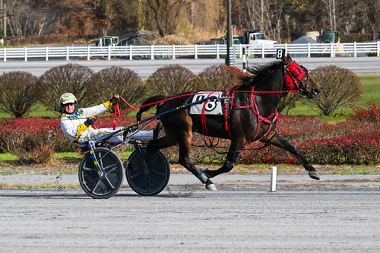 Wally Hennessey 11-23-25