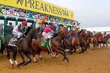 Pimlico to offer Preakness Future Bet