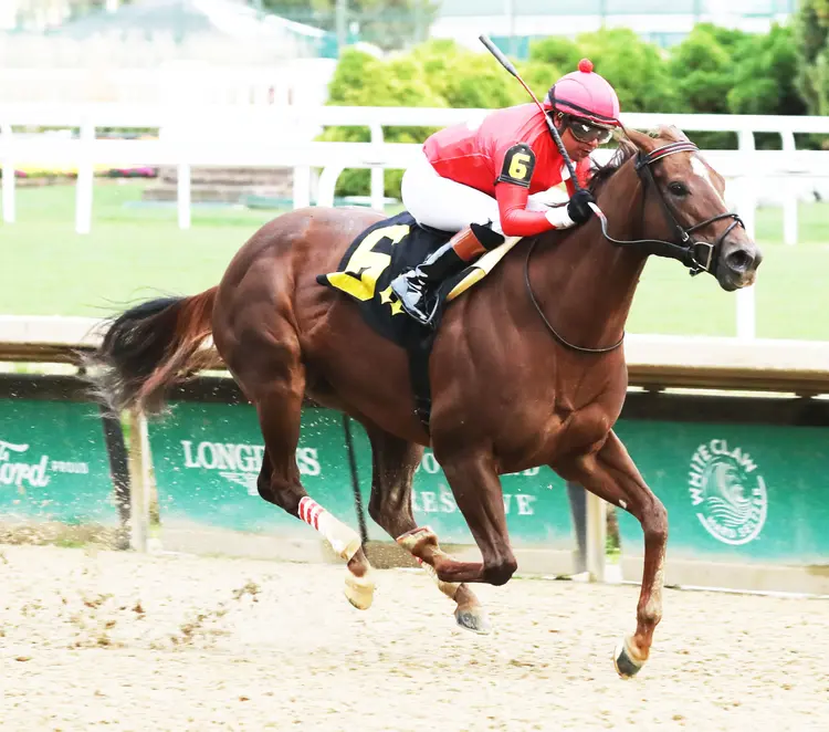 Coppelia wins the Dream Supreme at CD Nov 13 2022