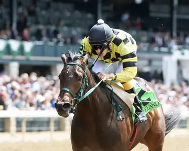 Thousand Words becomes first in freshman sire class with winner