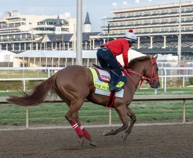 First-time Kentucky Derby sires are out in full force