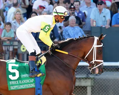 Skippylongstocking runs away with Essex Handicap