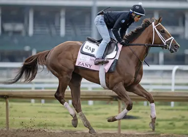Zany to be cross-entered at Saratoga and Monmouth