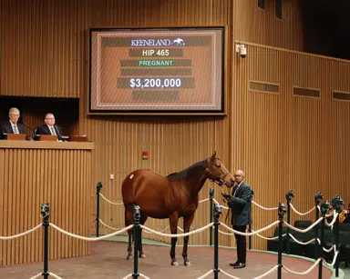 Nitrogen's dam sells for $3.2 million at Keeneland January sale