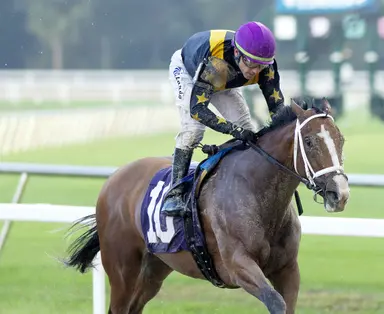 Sneaky Good another Cox contender but faces challenge in Beaumont
