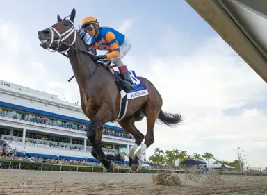 Pletcher optimistic Fierceness has more in the tank after Florida Derby romp