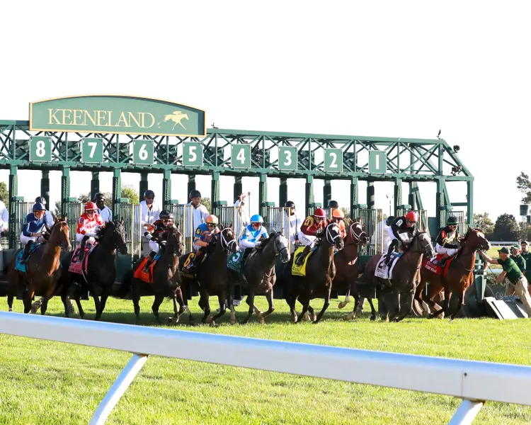 Keeneland scenic.10.05.2025.COM_.jpg