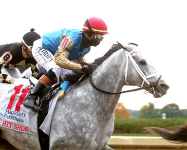 Hit Show tunes up for Dubai in Mineshaft Stakes
