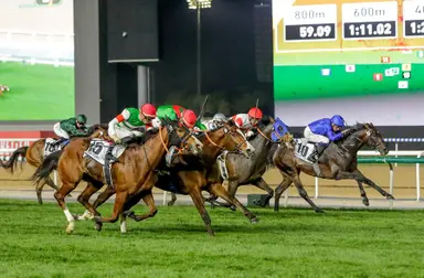 Facteur Cheval hangs on for upset in Dubai Turf