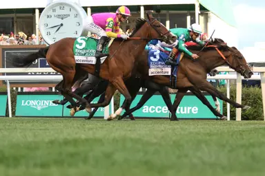 Imaginationthelady gets head down in blanket finish to win Edgewood Stakes