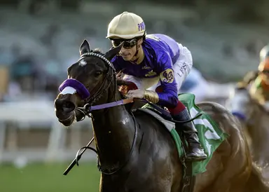 Honeymoon's shortened distance should benefit Light Won Up; $38,260 pick six carryover