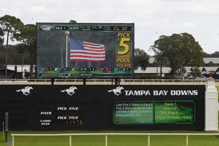 TampaBayDowns01.1-14-23.TK_.jpg