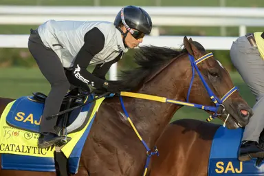 2024 Kentucky Derby Clocker: Five Derby contenders go through final works