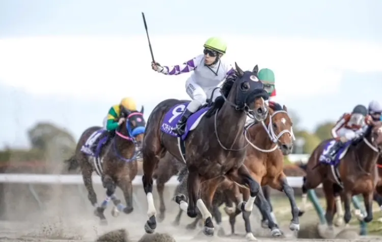 Peptide Nile Wins the February Stakes.jpg