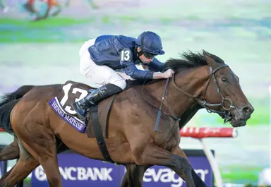 Wootton Bassett's first crop for Coolmore having fabulous year