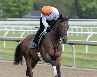 Searching for past glory, Resilience meets similar allowance foes