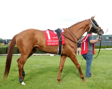 Red Route One retired to stud after $550,000 purchase